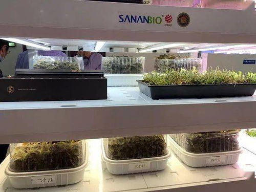 颠覆农业刻板印象 中国植物工厂如何点亮资本前路与“特农淘”新篇